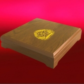 2013年12月：定制空軍航空兵42師戰(zhàn)友聚會(huì)榮譽(yù)勛章