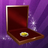 2013年8月：廣州金幣廠設(shè)計訂制萬達(dá)金包銀紀(jì)念章定做