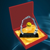 2015年1月；打造中科院下設企業國云科技魯班獎純金獎牌定制